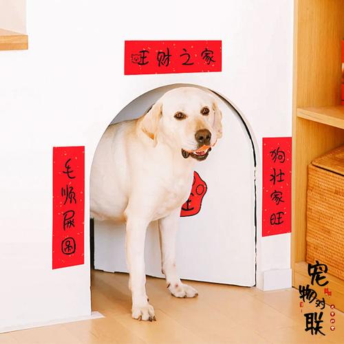 宠物创意趣味猫咪小对联春联新年装饰布置用品狗窝笼虎年过年装饰