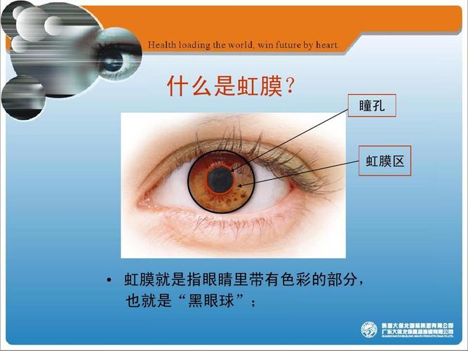 瞳孔 虹膜区   虹膜就是指眼睛里带有色彩的部分, 也就是"黑眼球"