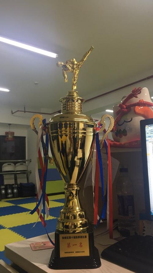 高档金属奖杯,跆拳道比赛奖杯,团队比赛赛事定制定做 编号1511