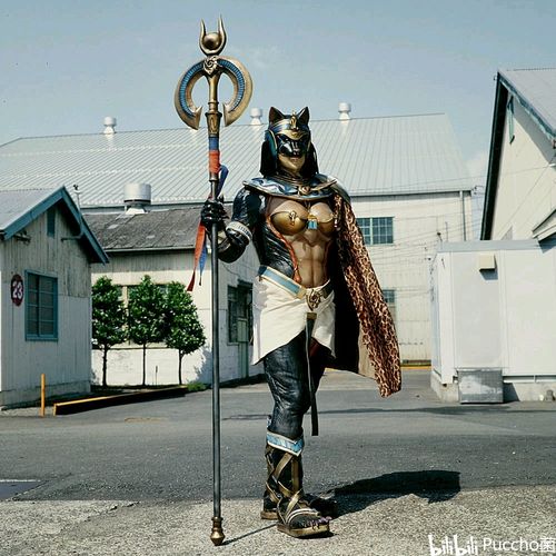 queen jaguar lord pantheras·magistra
