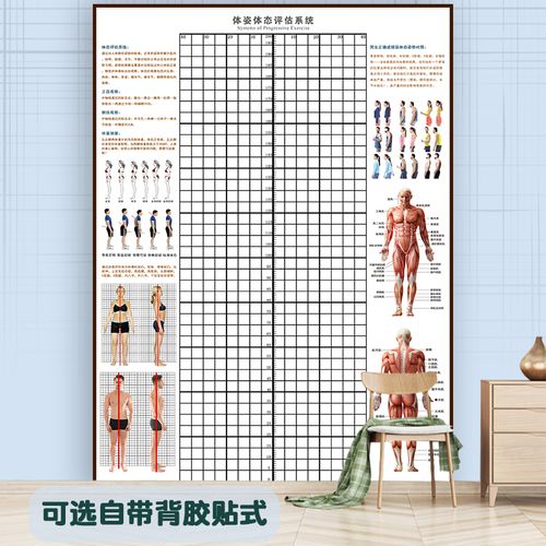 体态评估表健身房体测评估表瑜伽私教医疗形体修复图