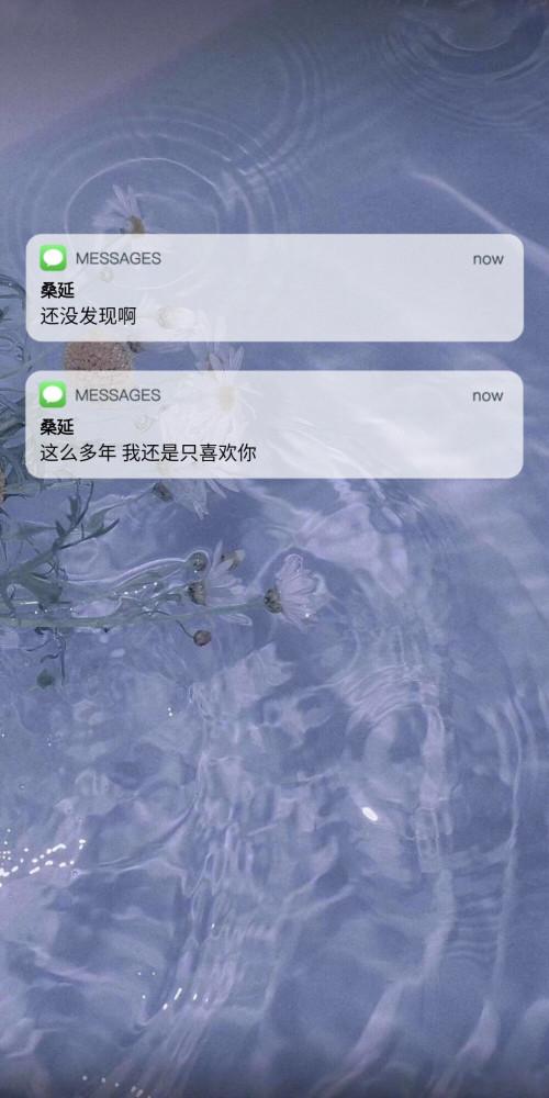 桑延:还没发现啊,这么多年我还是只喜欢你