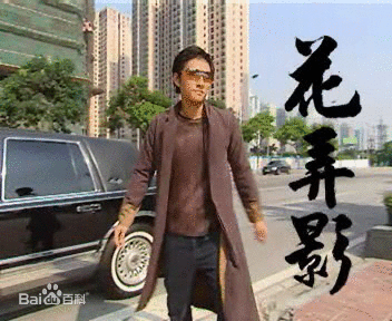 功夫足球的花弄影