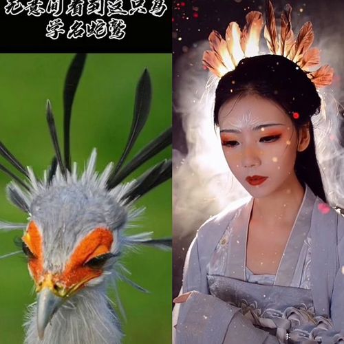 这波操作我服了美女化动物古风拟人妆又美又飒超级神似