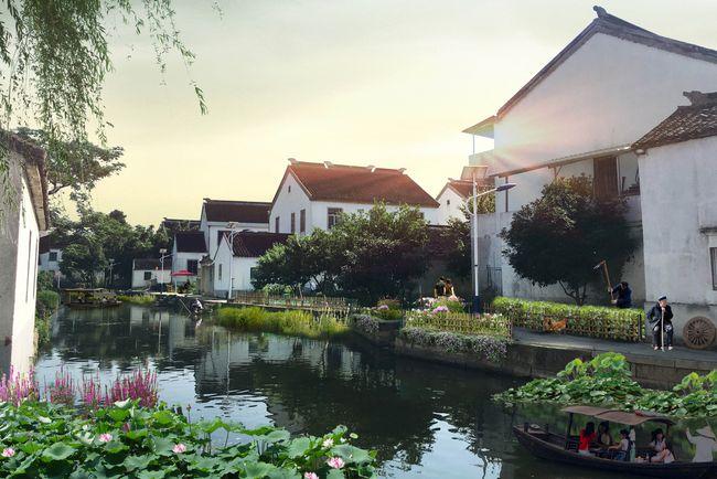 世界人居网精品丨江苏苏州田肚浜村特色田园乡村设计