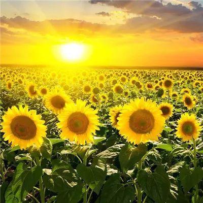 有人生意义的微信头像