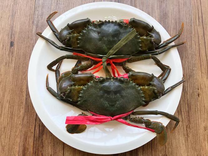 粉丝蒸青蟹