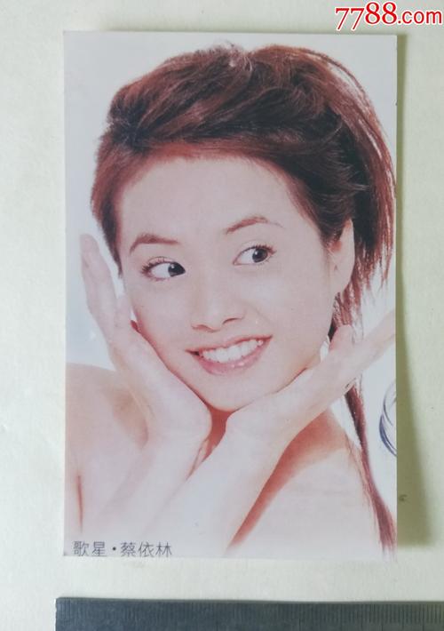 明星照片蔡依林