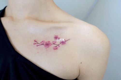 适合纹在锁骨的纹身_纹身_义乌吾悦广场自由行热门攻略_美妆_彩妆