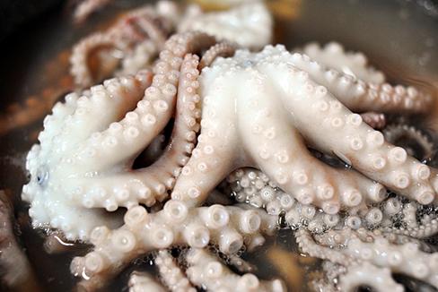 注意清洗干净章鱼吸盘上的异物;清洗干净的鱿鱼