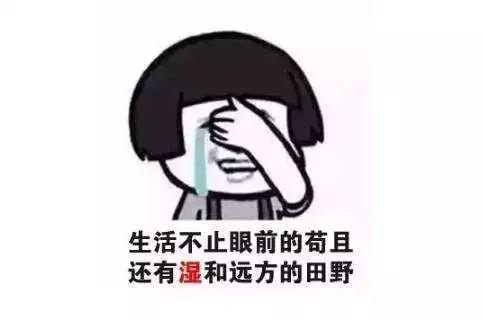 不过回南天要来了.