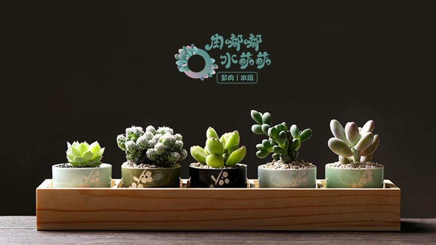 多肉标志设计|平面|logo|雅尚设计 - 原创作品 - 站酷 (zcool)