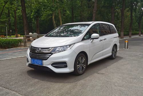 奥德赛锐·混动 辣趣进型时# 一家四口游北京野生动物园