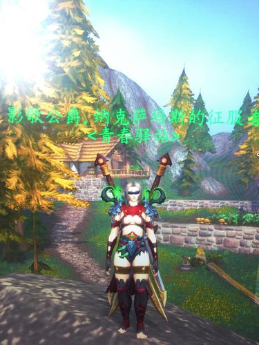 人类女盗贼皮甲一套性感完美幻化