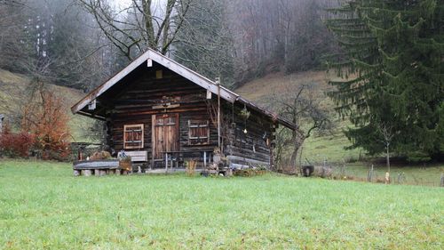 森林里寂静的小木屋风景图片(3/15)