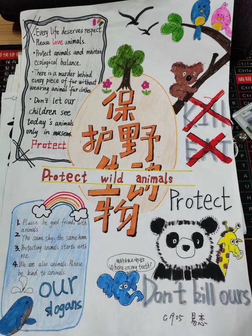 七年级"保护动物"英语海报展