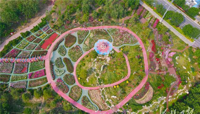 河北廊坊漫步月季花园畅享幸福生活