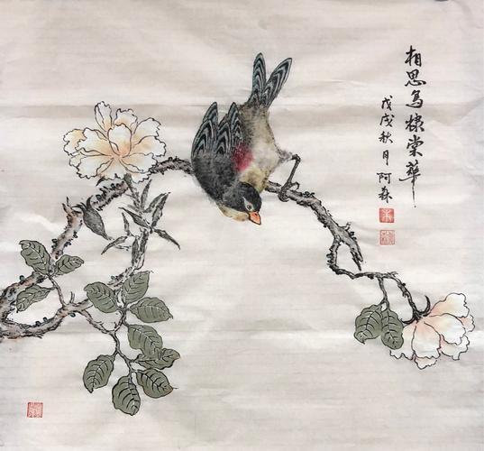 朱兆森先生工笔带写意花鸟画——相思鸟棣棠花