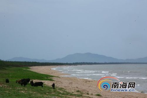 乐东龙腾湾 (南海网记者 张茂 摄)