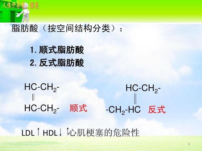 反式脂肪酸 hc-ch2hc-ch2ldl hdl 顺式 hc-ch2-ch2-hc 反式 第4页 (共