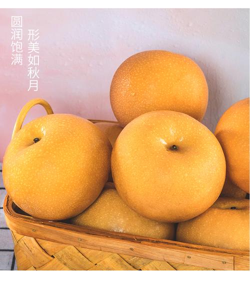 青青大地 羊脂秋月冰糖梨 5斤装 单果200g以上 产地直发 玉露香梨7斤