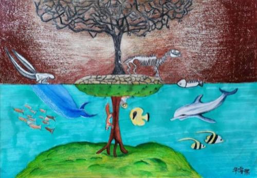 第二届环丁青少年环保创意活动优秀作品出炉