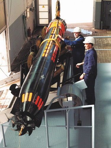 210mod型潜艇的主要攻击武器是dm2a4型鱼雷.这是一种线