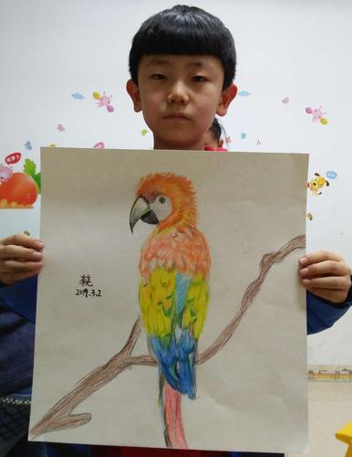 创意中级一班 彩铅画技巧练习 鹦鹉