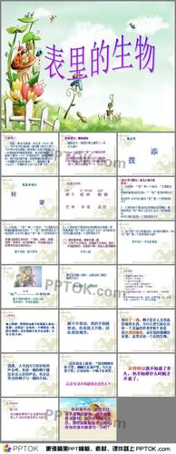 这是表里的生物1(1)学习课件ppt下载,主要介绍了作者简介,初读课文