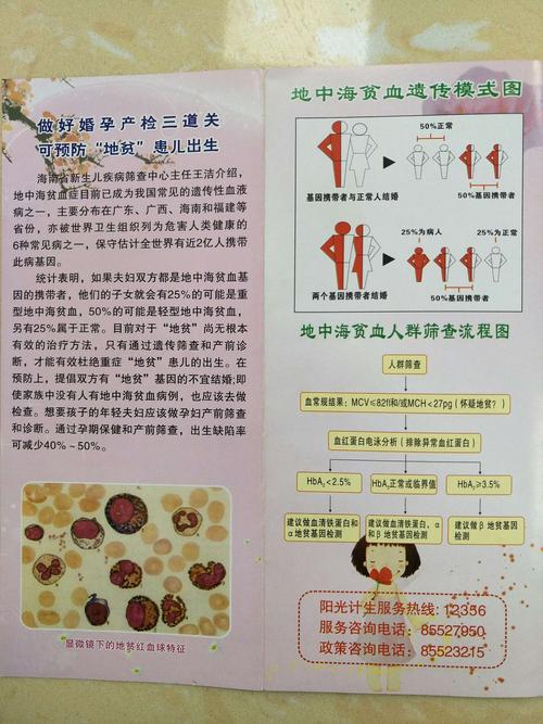 有备孕宝爸宝妈可到 写美篇 国家免费孕前优生健康检查及地中海贫血