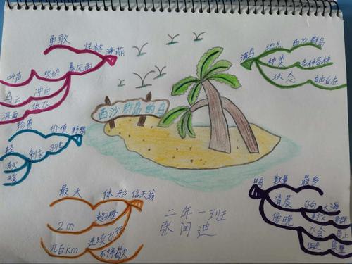 《西沙群岛的鸟》思维导图