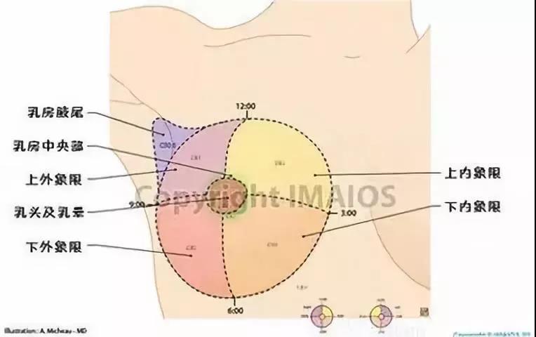 樱桃小丸子创作者因乳腺癌逝世,预防筛查不容忽视