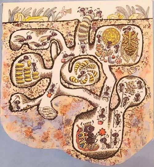 我们今天的活动是《地底下迷宫》,将会一起来探索蚂蚁的宫殿哦!