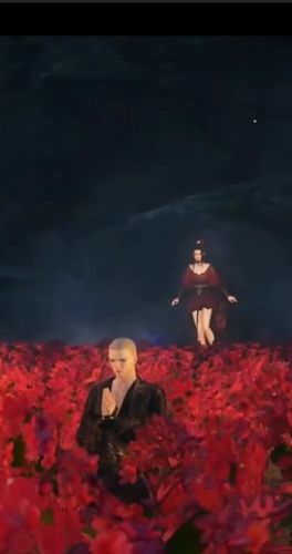 郡主小和尚,你看,我给你带的糖葫芦.