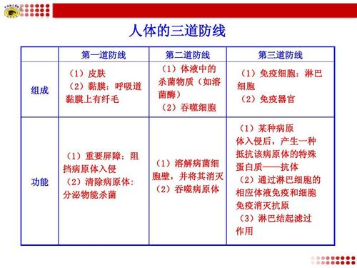 高中生物人教版必修三素材大集合知识表格: 人体的三道防线ppt