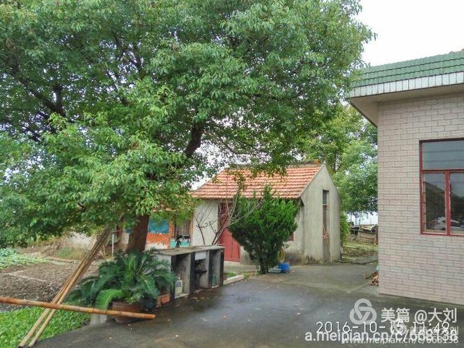 重回第二故乡一崇明新海农场三连