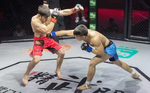 格斗知识 ▏对mma一知半解?4大要点帮你快速了解综合