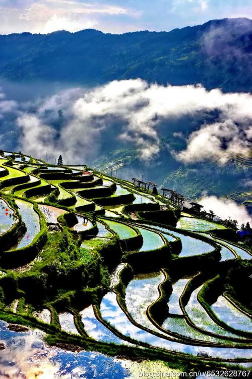 贵州从江加榜梯田2018春天里的美景之三五彩梯田