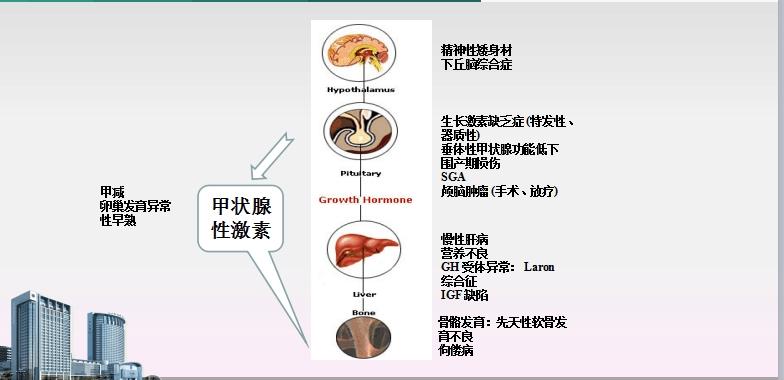 2003        短肠综合征(sbs)  2006        shox基因缺失但不伴ghd的