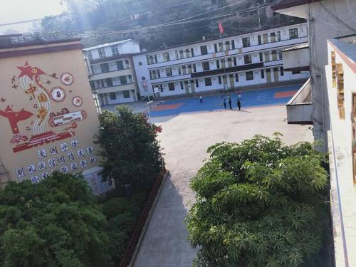 职梦青春 云南省2020年高校毕业生 墨江县龙坝镇小学网络招聘公告