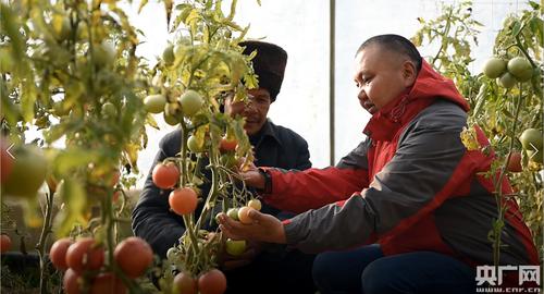 牢记初心使命 脱贫攻坚工作稳步推进———记中科院新疆分院驻村工作