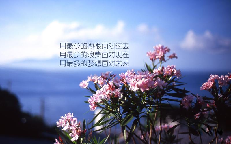 文字图片,努力,奋斗,文字,电脑壁纸,壁纸为梦想坚持成功加油的励志