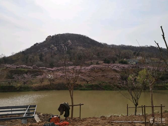 锦屏山吴瑶塘坝左侧山与桃花_脚印_连云港市区_六只脚