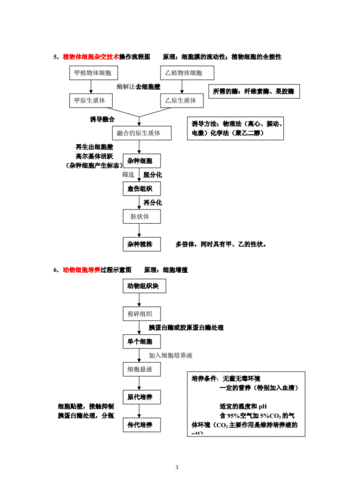 高中生物选修3流程图(精编).doc
