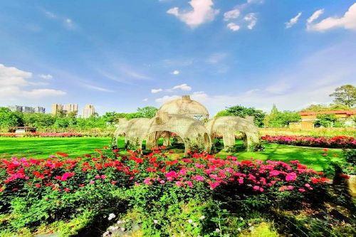 成都三圣花乡旅游区攻略-三圣花乡旅游区门票价格多少