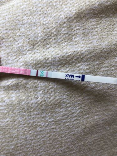 前俩天去医院检查没有怀孕,但是现在拿排卵试纸检测又出强阳