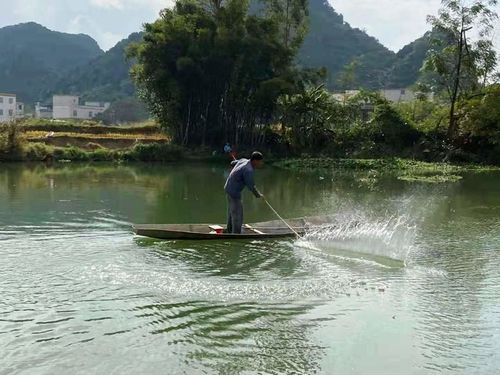 广西南宁上林县三里洋渡风景区