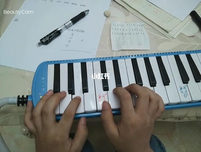 口风琴版踏山河片段_音乐_娱乐_音乐