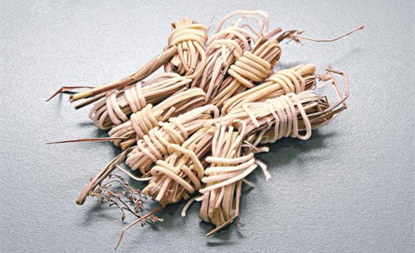 中药灯心草根是灯心草科植物灯心草的根及根茎.