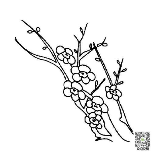 梅花简笔画手绘树枝